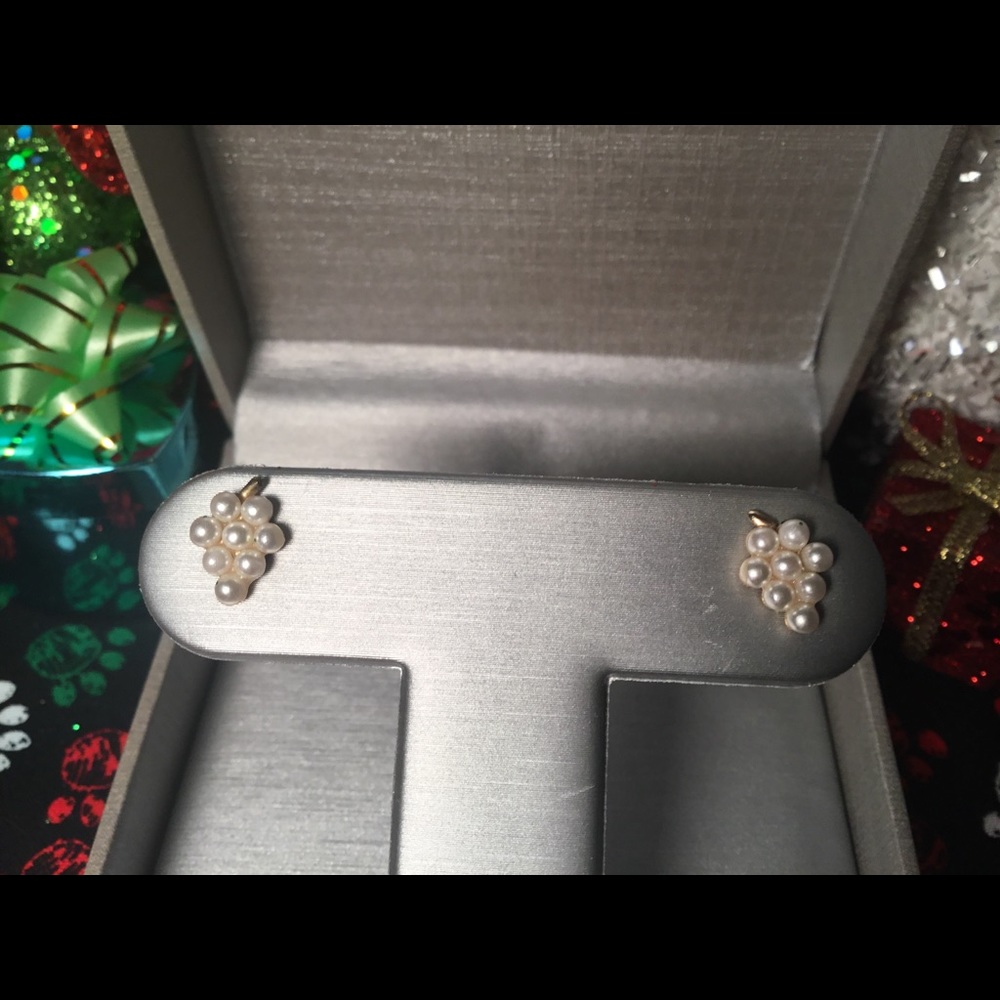 Very Cute 14kt Gold & Pearl Earrings